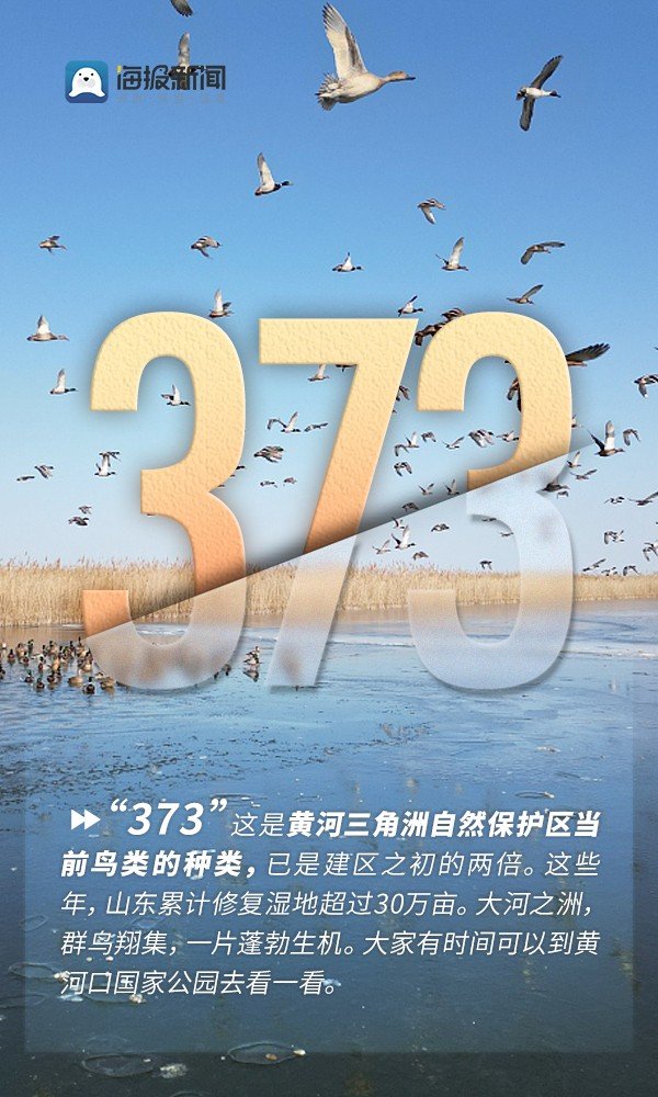开云kaiyun中国官方网站算作黄河流域生态保护和高质料发展的垂危承载区域-外围球赛软件