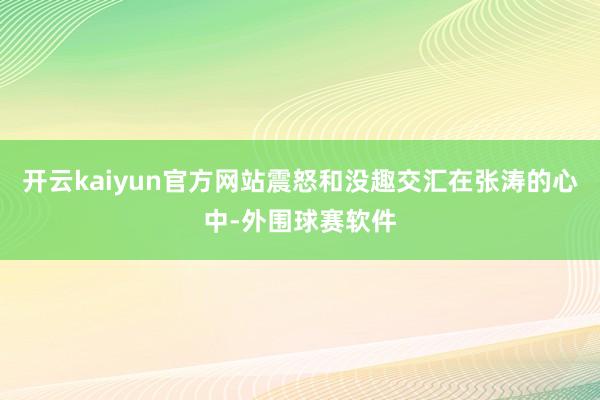 开云kaiyun官方网站震怒和没趣交汇在张涛的心中-外围球赛软件