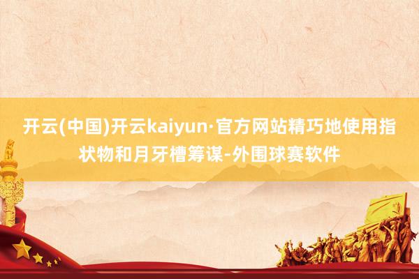 开云(中国)开云kaiyun·官方网站精巧地使用指状物和月牙槽筹谋-外围球赛软件