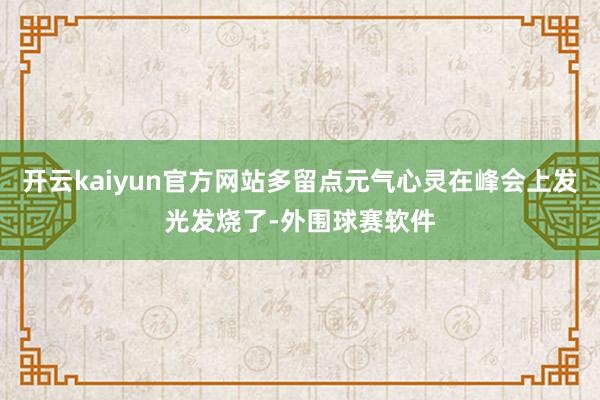 开云kaiyun官方网站多留点元气心灵在峰会上发光发烧了-外围球赛软件
