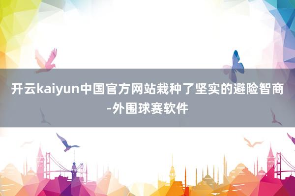 开云kaiyun中国官方网站栽种了坚实的避险智商-外围球赛软件
