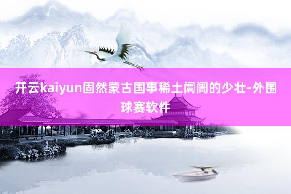 开云kaiyun固然蒙古国事稀土阛阓的少壮-外围球赛软件