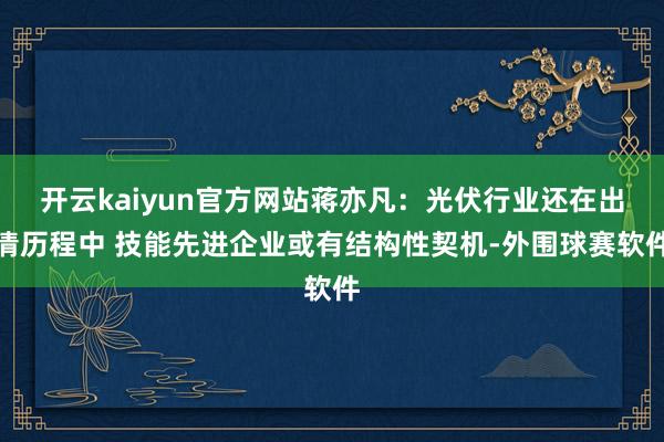 开云kaiyun官方网站蒋亦凡：光伏行业还在出清历程中 技能先进企业或有结构性契机-外围球赛软件