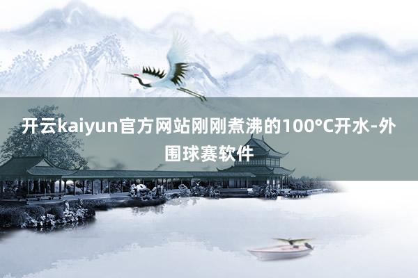 开云kaiyun官方网站刚刚煮沸的100°C开水-外围球赛软件