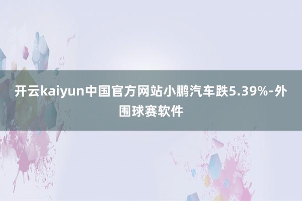 开云kaiyun中国官方网站小鹏汽车跌5.39%-外围球赛软件