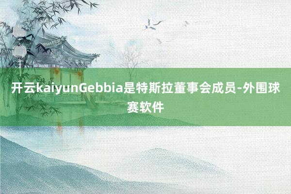 开云kaiyunGebbia是特斯拉董事会成员-外围球赛软件