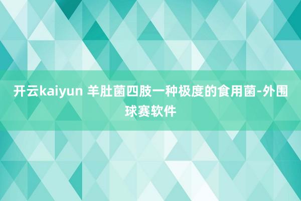 开云kaiyun 羊肚菌四肢一种极度的食用菌-外围球赛软件
