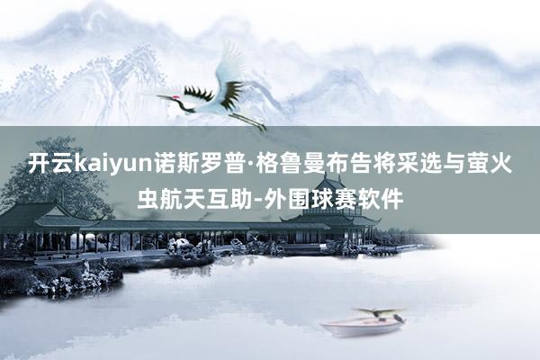 开云kaiyun诺斯罗普·格鲁曼布告将采选与萤火虫航天互助-外围球赛软件