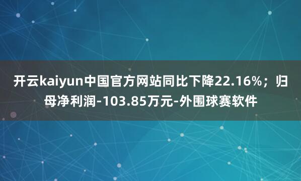 开云kaiyun中国官方网站同比下降22.16%；归母净利润-103.85万元-外围球赛软件