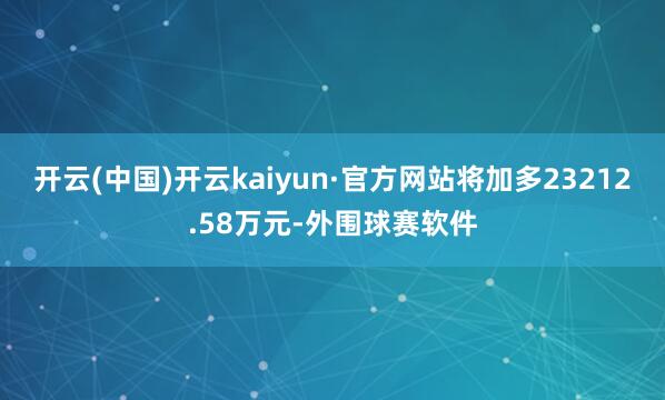开云(中国)开云kaiyun·官方网站将加多23212.58万元-外围球赛软件