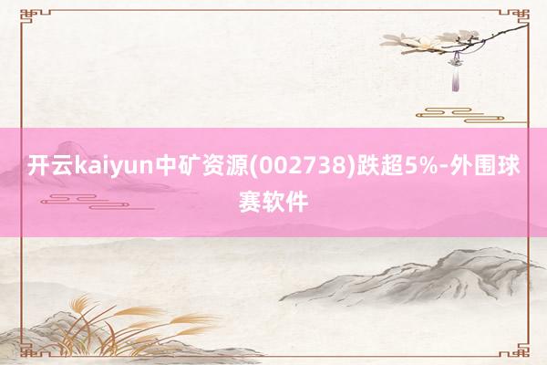 开云kaiyun中矿资源(002738)跌超5%-外围球赛软件