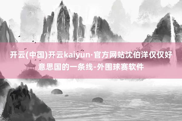 开云(中国)开云kaiyun·官方网站沈伯洋仅仅好意思国的一条线-外围球赛软件